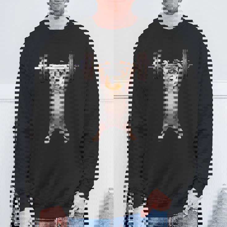 面白いtシャツ シュナウザー 犬 イヌ わんこ メンズ 犬好き グッズ かわいい 面白い 服 ネタ 筋トレ スウェットシャツ 高齢者への贈り物