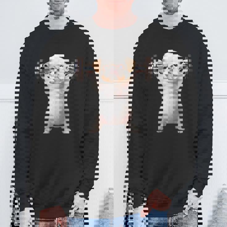 面白いtシャツ シーズー 犬 イヌ わんこ メンズ 犬好き グッズ かわいい 面白い 服 ネタ 筋トレ スウェットシャツ 高齢者への贈り物