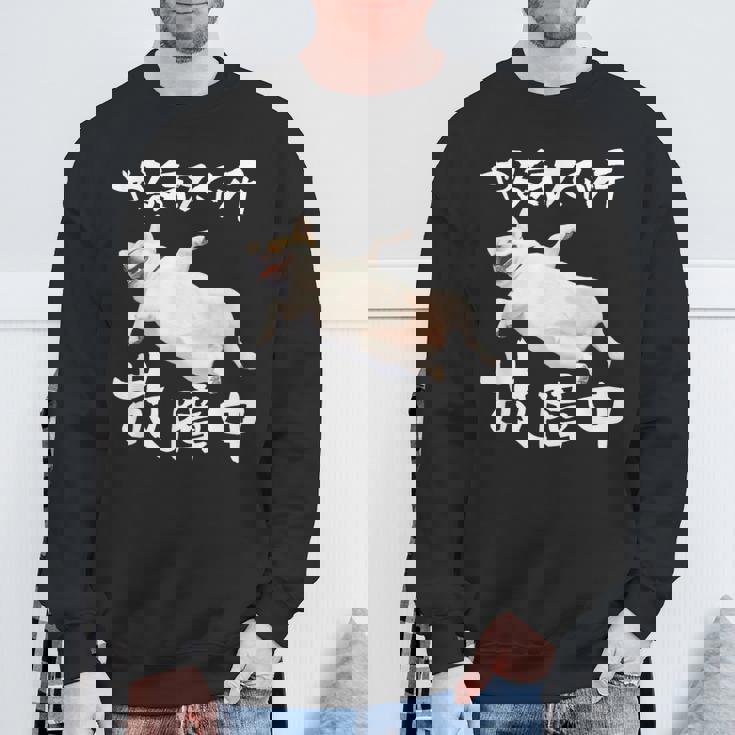 面白いtシャツ チワワ やる気スイッチ イヌ わんこ メンズ 犬好き グッズ おもしろ 面白い 服 ネタ スウェットシャツ 高齢者への贈り物