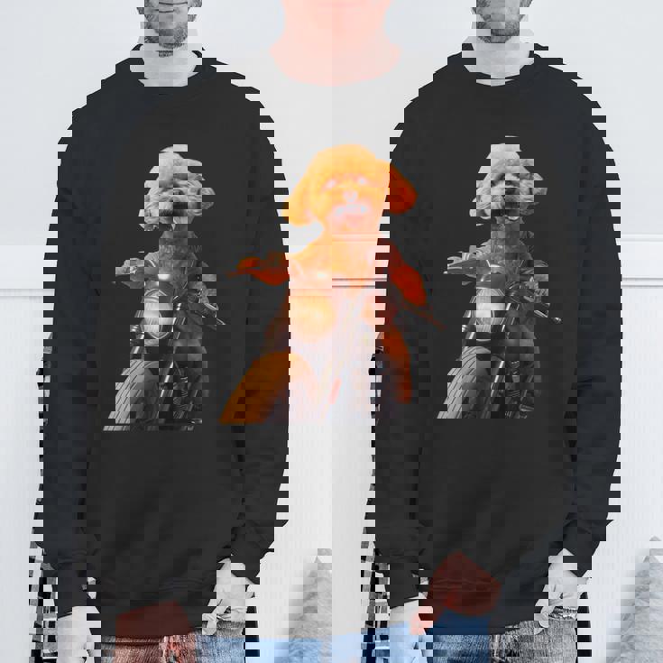 面白いtシャツ トイプードル バイク イヌ メンズ 犬好き グッズ かわいい おもしろ 面白い 服 ネタ スウェットシャツ 高齢者への贈り物