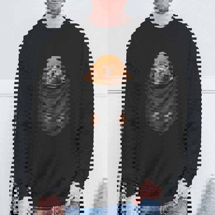 面白いtシャツ トイプードル ポケット イヌ わんこ メンズ 犬好き グッズ おもしろ 面白い 服 ネタ スウェットシャツ 高齢者への贈り物