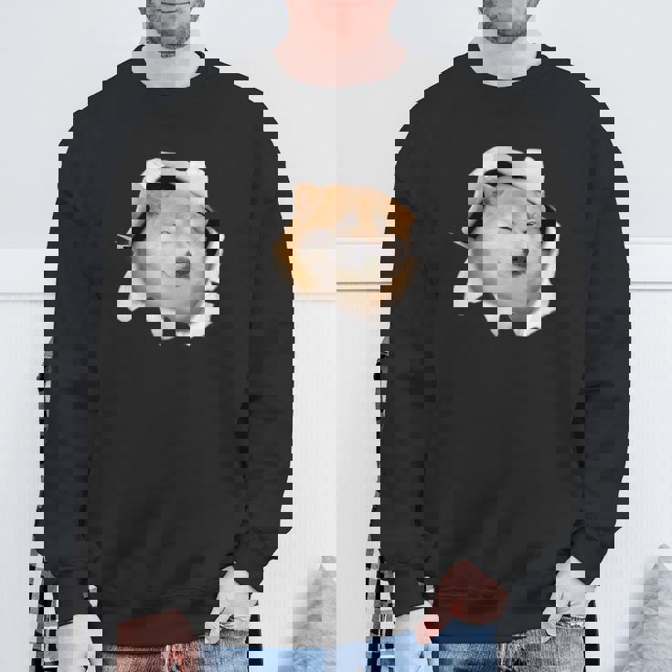 面白いtシャツ 柴犬 シバイヌ 犬 イヌ わんこ メンズ 犬好き グッズ かわいい 面白い 服 ネタ スウェットシャツ 高齢者への贈り物