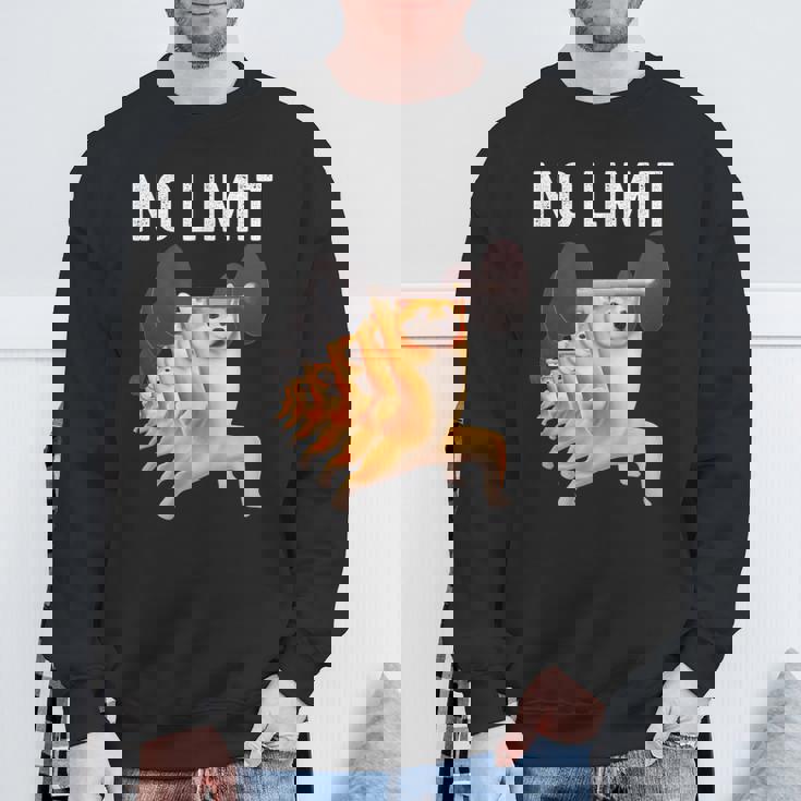 面白いtシャツ 柴犬 犬 イヌ わんこ メンズ 犬好き グッズ かわいい 面白い 服 ネタ 筋トレ スウェットシャツ 高齢者への贈り物