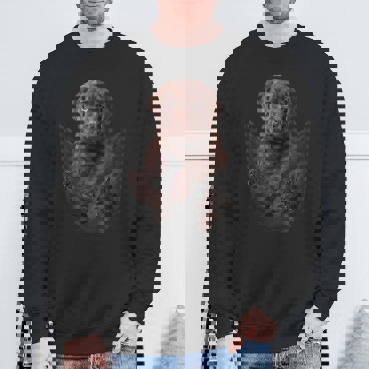 面白いラブラドールレトリバーをポケットに入れてチョコレートラボ用 スウェットシャツ 高齢者への贈り物