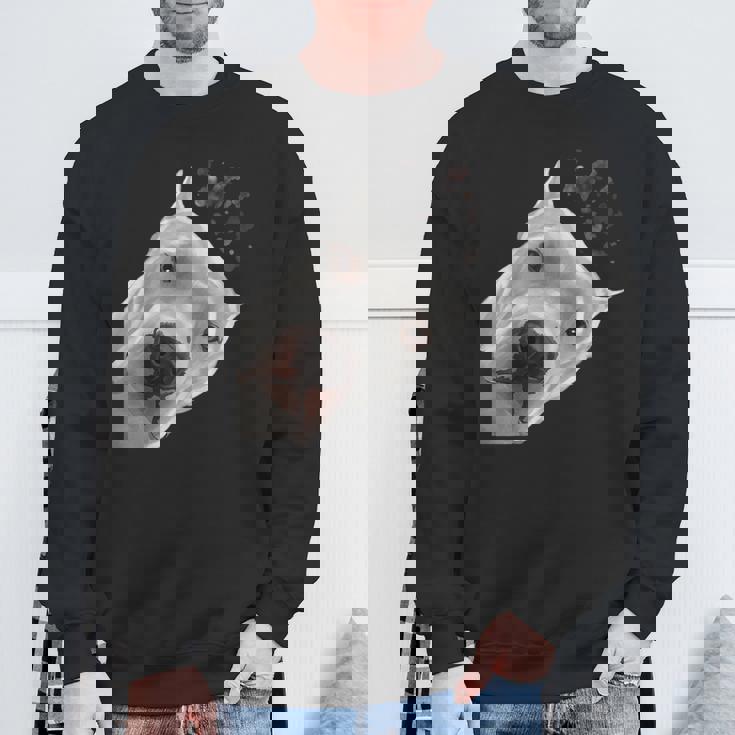 面白い好奇心旺盛な犬ドゴアルヘンティーノ スウェットシャツ 高齢者への贈り物