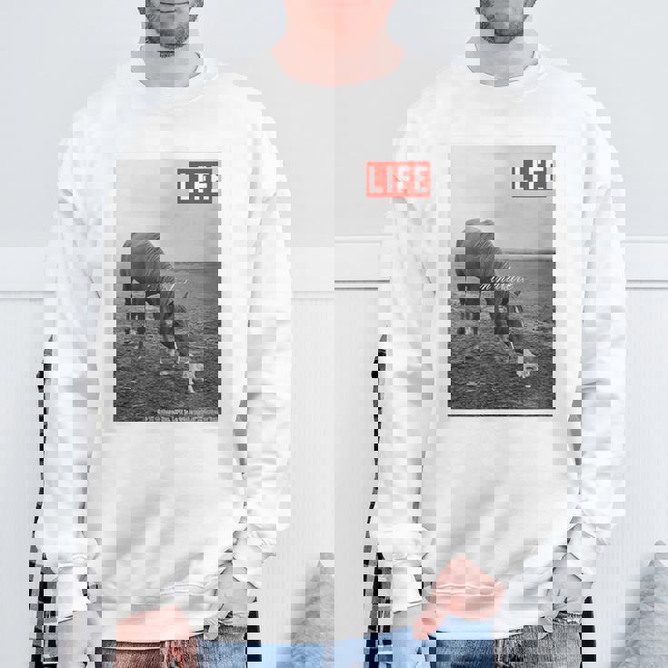 Life Picture Collection 馬と猫（1） スウェットシャツ 高齢者への贈り物