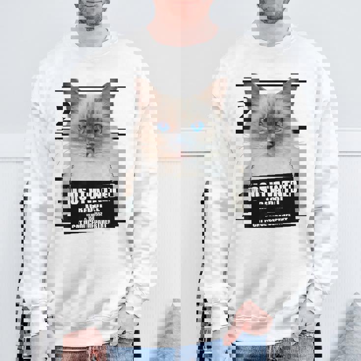 Most Wanted ラグドール ラグドール 猫 スウェットシャツ 高齢者への贈り物