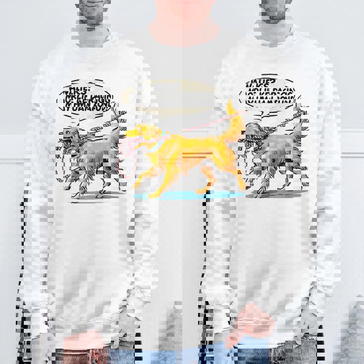 Walkies 犬の散歩 ゴールデンレトリバー 面白い犬好きデザイン スウェットシャツ 高齢者への贈り物