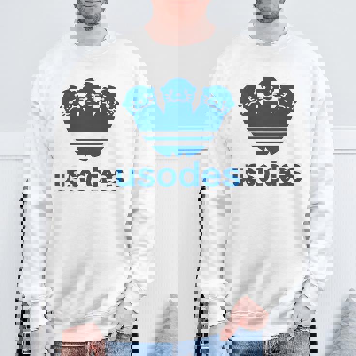 【バックプリント・背中側】ウソデス Usodes かわうそです。《ブルー 青》スポーツ ブランド パロディ 面白い スウェットシャツ 高齢者への贈り物