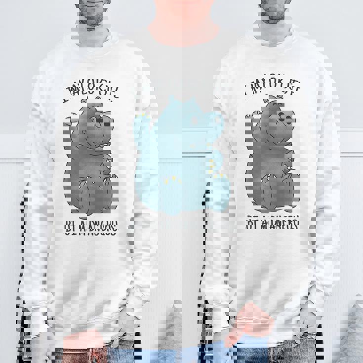 かわいいグレーカバ スウェットシャツ 高齢者への贈り物