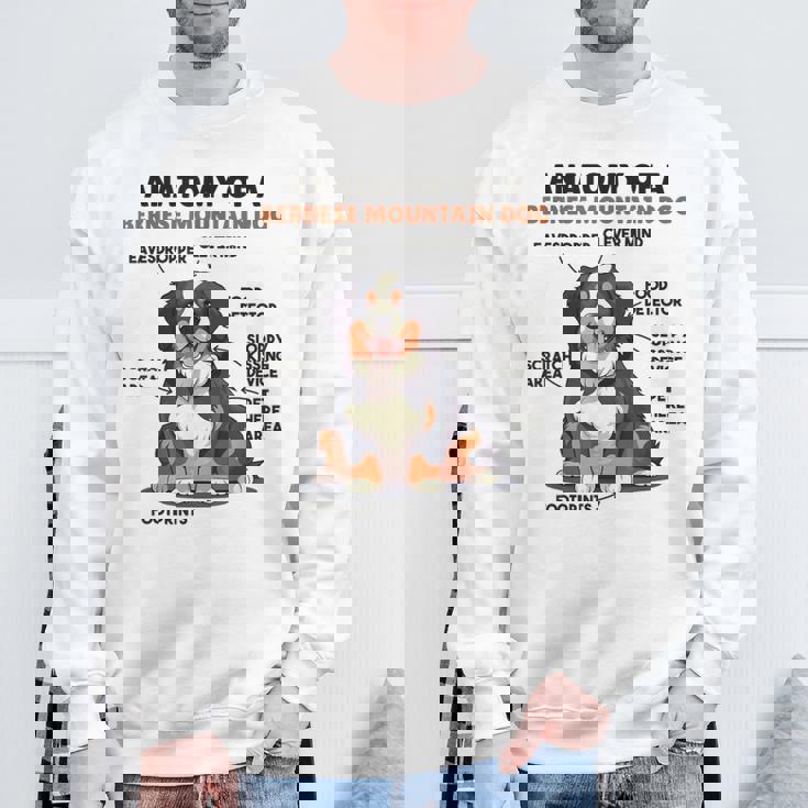 かわいい犬の説明 バーニーズ・マウンテン・ドッグの解剖学 スウェットシャツ 高齢者への贈り物