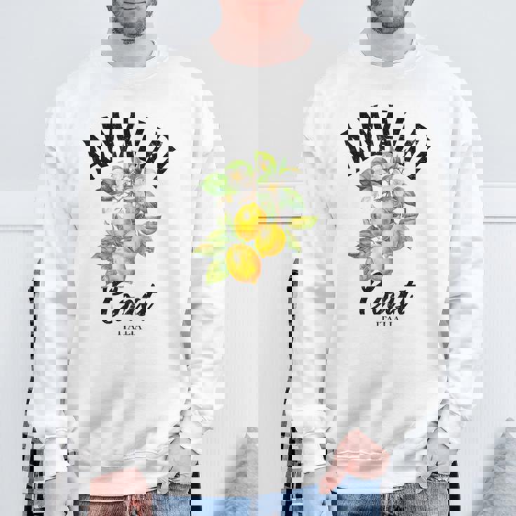 アマルフィ海岸レモン イタリア スウェットシャツ 高齢者への贈り物