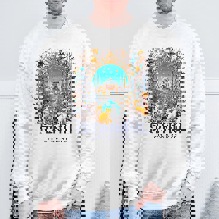 イスタンブール、トルコ 猫の街 Istanbul Turkey City Of Cats スウェットシャツ 高齢者への贈り物