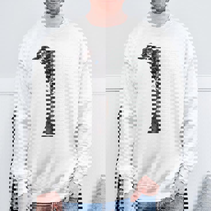 イタリアングレイハウンド 長袖tシャツ スウェットシャツ 高齢者への贈り物