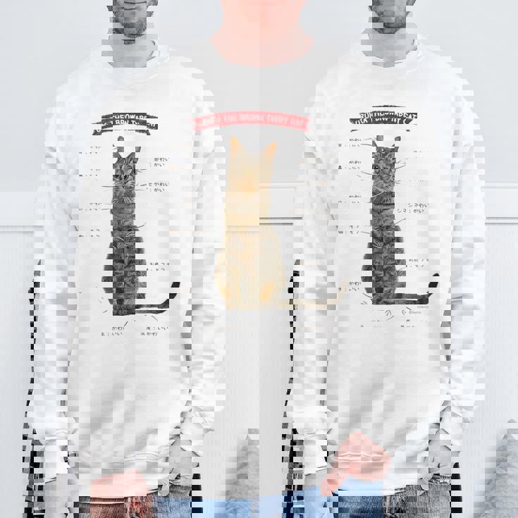 キジトラねこ、うずら 猫 キジトラ猫 鶉 かわいい Cat （ホワイト） スウェットシャツ 高齢者への贈り物