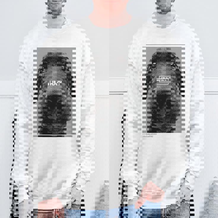 キッズ Artlist Collection The Dog ラブラドール・レトリーバー （キッズ） スウェットシャツ 高齢者への贈り物