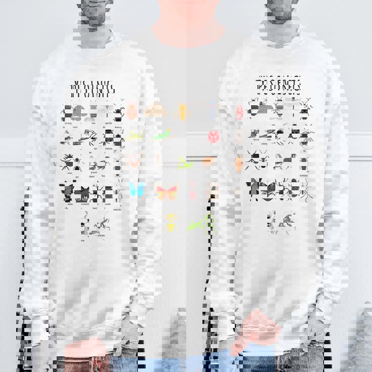 キッズ 昆虫の種類バグ識別科学 スウェットシャツ 高齢者への贈り物