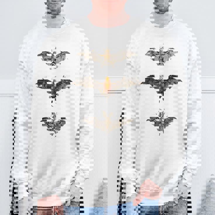 コウモリ 科学イラスト 描画 生物学 アート ハロウィン スウェットシャツ 高齢者への贈り物