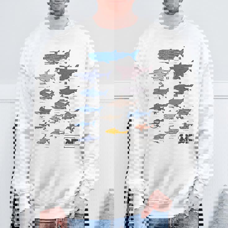 サメ図鑑 スウェットシャツ 高齢者への贈り物