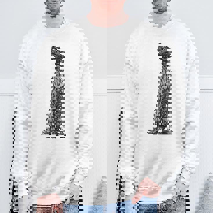 ドッグ・プロット・ハウンド スウェットシャツ 高齢者への贈り物