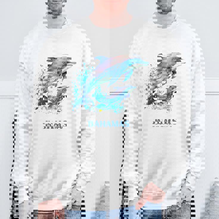 ドルフィン バケーション ヴィンテージ バハマ ビーチ デスティネーション スウェットシャツ 高齢者への贈り物