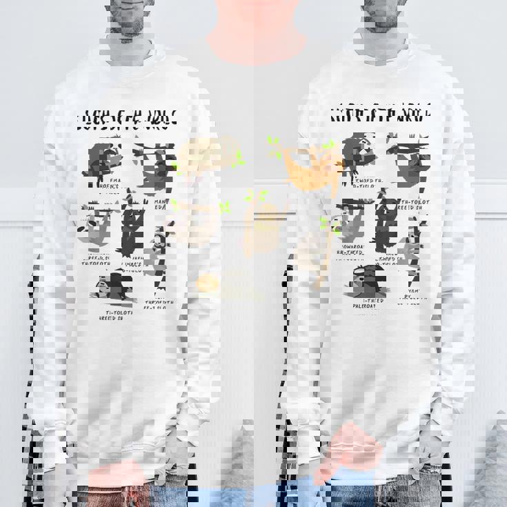 ナマケモノ 面白い動物 キュート ナマケモノ 恋人 ギフト スウェットシャツ 高齢者への贈り物