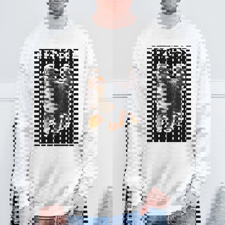 バーニーズマウンテンドッグ愛好家 スウェットシャツ 高齢者への贈り物