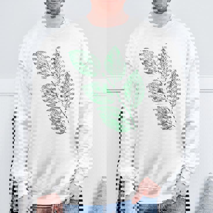 ブナの葉 植物 自然と森林 木のグラフィックス スウェットシャツ 高齢者への贈り物
