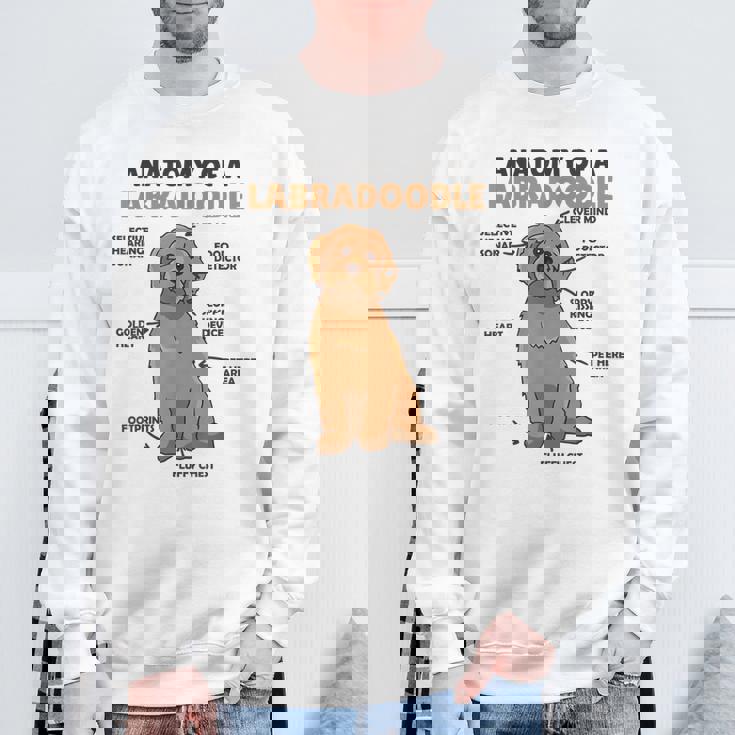 ラブラドゥードルの解剖学かわいい犬面白い犬ラブラドゥードル スウェットシャツ 高齢者への贈り物