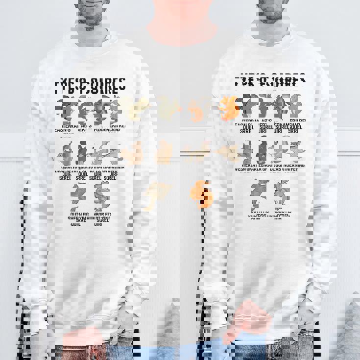 リスシャツの種類 おもしろリスシャツ リス スウェットシャツ 高齢者への贈り物