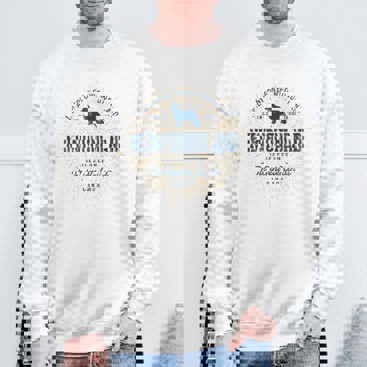 ヴィンテージ ニューファンドランド レトロ スウェットシャツ 高齢者への贈り物