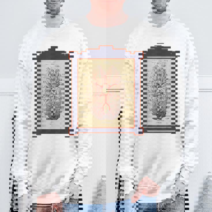 ヴィンテージ 人間の脳 解剖図 スウェットシャツ 高齢者への贈り物
