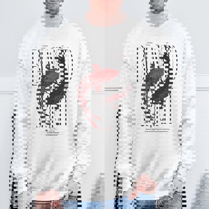 ヴィンテージグラフィティ錦鯉魚バックプリント鯉鯉 スウェットシャツ 高齢者への贈り物