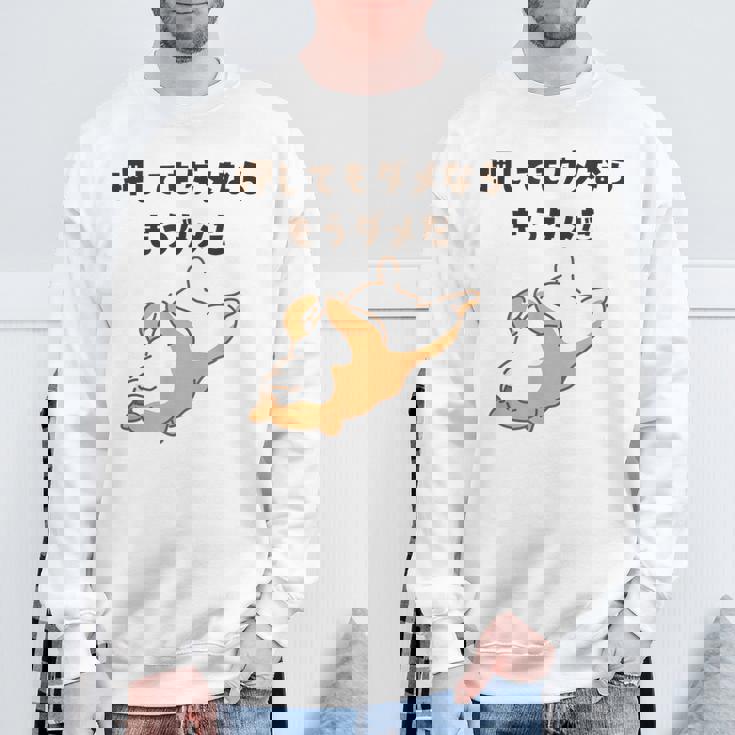 押してもダメならもうダメだ 犬 柴犬 犬好き かわいい おもしろ ネタ スウェットシャツ 高齢者への贈り物