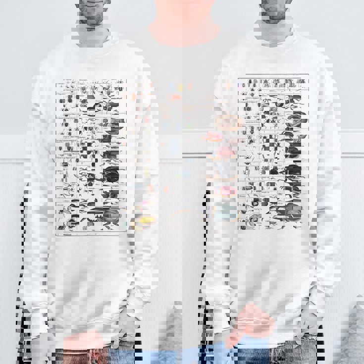 昆虫コレクション種ヴィンテージバグチャート昆虫学 スウェットシャツ 高齢者への贈り物