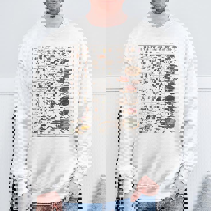 昆虫学者 昆虫学 昆虫 虫の種類 スウェットシャツ 高齢者への贈り物