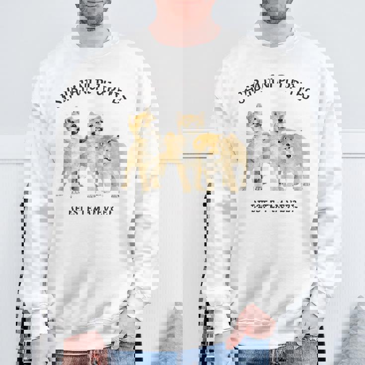 柴犬 しばいぬ 子柴 柴犬子犬 チーム いぬ プリント 写真 水彩 おしゃれ かわいい 犬飼い 犬好き スウェットシャツ 高齢者への贈り物