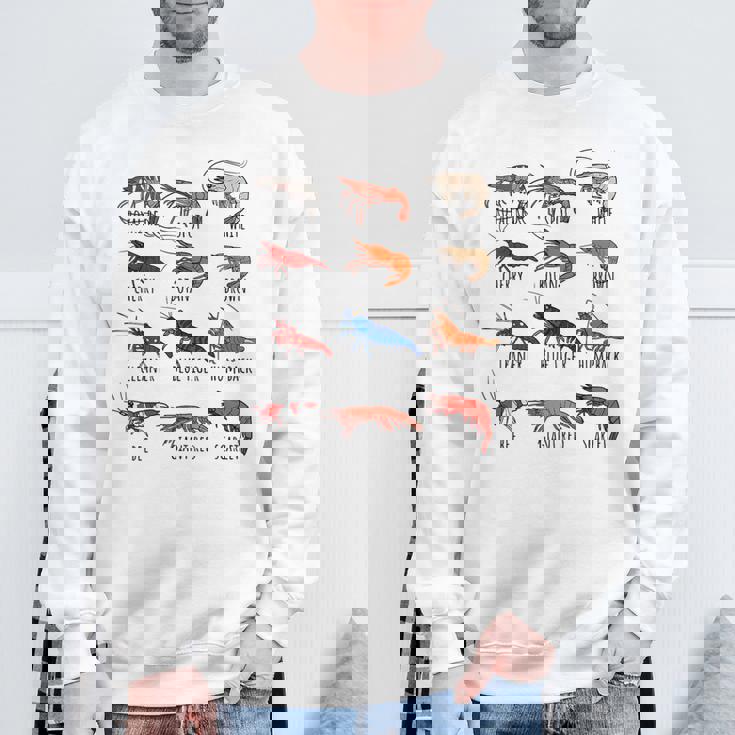 異なるタイプのエビの品種コレクション、かわいいエビ愛好家。 スウェットシャツ 高齢者への贈り物