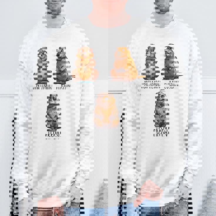 異なるタイプのビーバーズ品種コレクション、かわいいビーバーが大好き。 長袖tシャツ スウェットシャツ 高齢者への贈り物