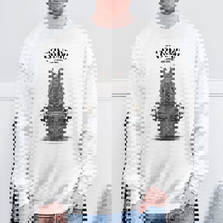 筋トレ ネザーランドドワーフ ウサギ ブルー スウェットシャツ 高齢者への贈り物