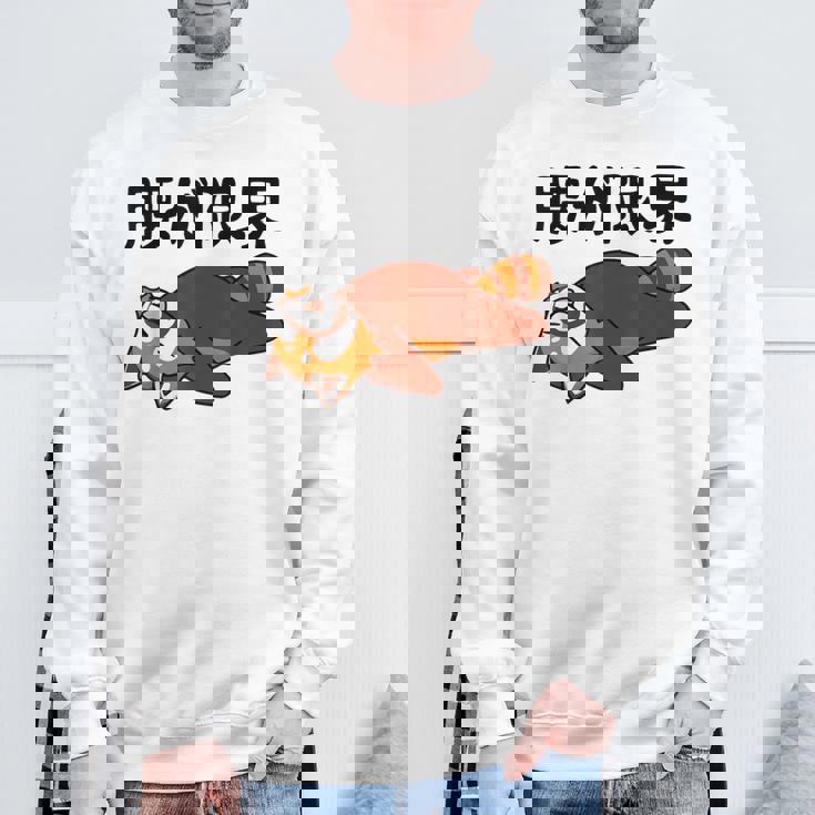 腰が限界 レッサーパンダ 面白いtシャツ 文字入り メンズ おもしろ 面白い 服 オリジナル おもしろグッズ 文字 スウェットシャツ 高齢者への贈り物