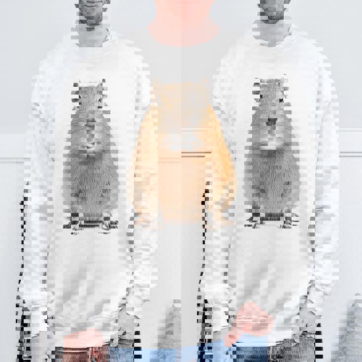 豚 ペット げっ歯類 動物愛好家 ギフト スウェットシャツ 高齢者への贈り物