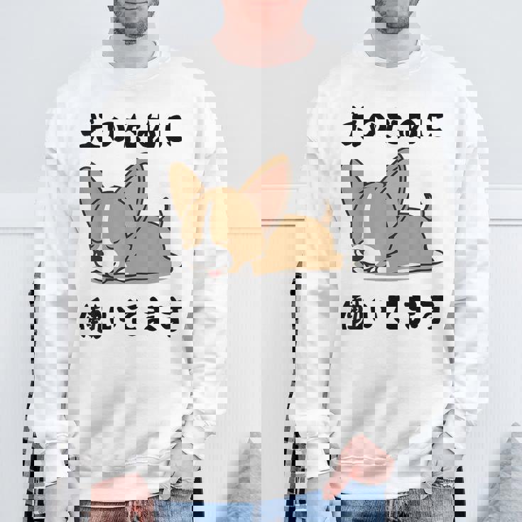 面白いtシャツ チワワ イヌ わんこ メンズ 犬好き グッズ おもしろ 面白い 服 ネタ わんこ スウェットシャツ 高齢者への贈り物