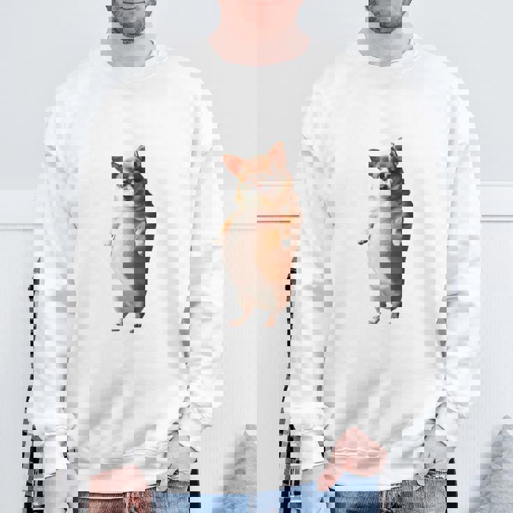 面白いtシャツ チワワ 犬 わがままボディ イヌ わんこ メンズ 犬好き グッズ おもしろ 面白い 服 ネタ 長袖tシャツ スウェットシャツ 高齢者への贈り物