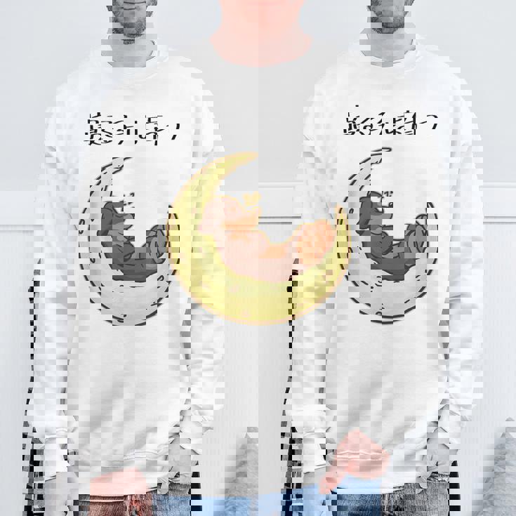 面白いtシャツ 犬 ダックスフンド イヌ メンズ 犬好き グッズ かわいい おもしろ 面白い 服 ネタ スウェットシャツ 高齢者への贈り物