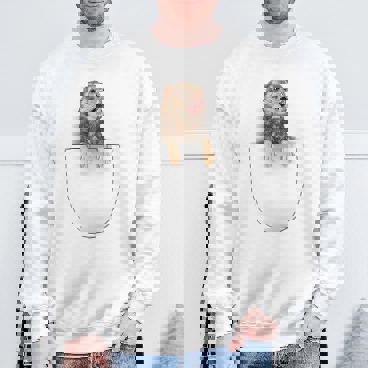 面白いペットフェレット ポケットの中のファニー フェレット スウェットシャツ 高齢者への贈り物