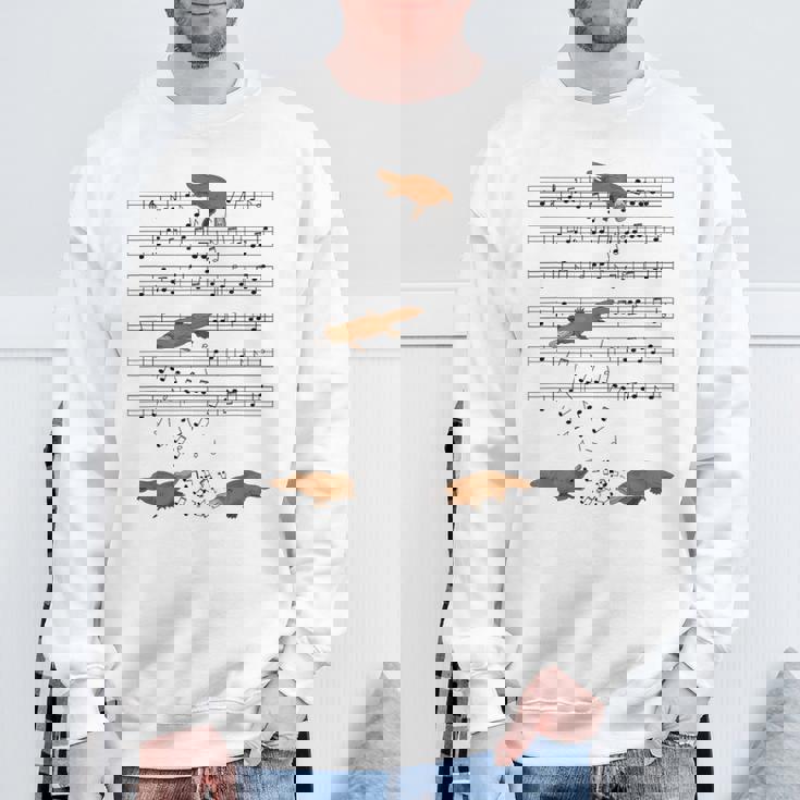 音符で遊ぶ面白いカモノハシ スウェットシャツ 高齢者への贈り物