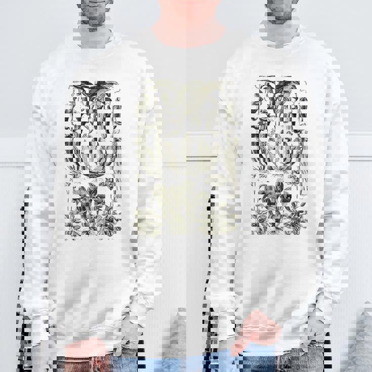 食虫植物 ヴィンテージ サラセニア ボタニカル スウェットシャツ 高齢者への贈り物