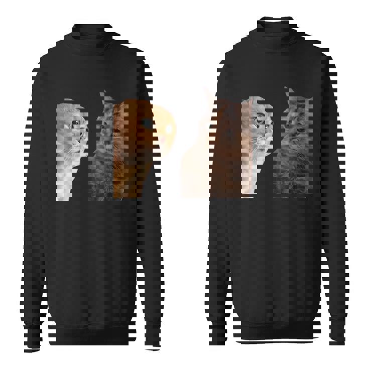 2匹の猫がミームを話す スウェットシャツ