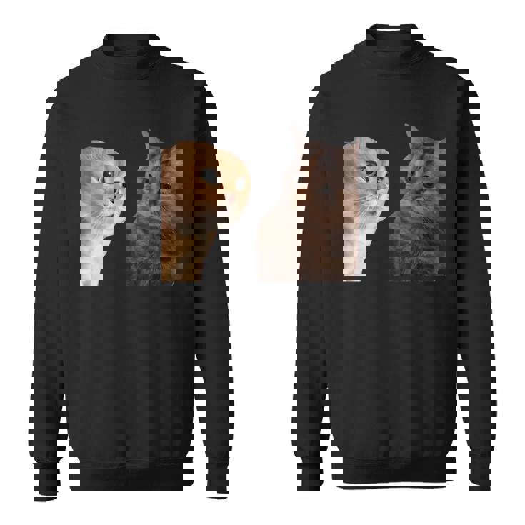 2匹の猫がミームを話す 長袖tシャツ スウェットシャツ